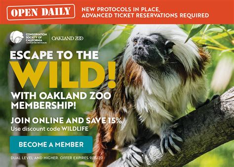 Oakland zoo prices. FREE daytime admission at Oakland Zoo; FREE daytime parking at Oakland Zoo; DISCOUNTS at the Gift Shop and on ZooCamp, Education Programs, and special … 