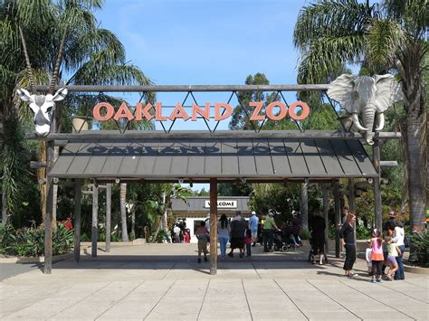 23. 7.6K views 8 months ago OAKLAND ZOO. The award-winning Oakland Zoo spans 100 acres and is home to over 850+ native and exotic animals. Governed by the …. 