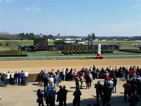 Oaklawn park. Oaklawn boasts big fields, strong purses, and good betting races. The day-to-day racing at Oaklawn should be a point of focus for handicappers for the winter racing … 