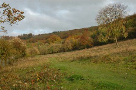 Oakley Hill nature reserve - Wikipedia