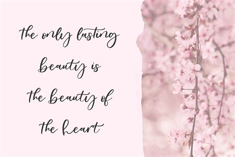 Oakley May Script Font Modern Script Font Cricut Fonts Etsy Israel