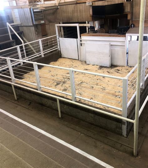 Oakley livestock commission. Quinter Livestock Market, LLC, Quinter, Kansas. 370 likes · 7 were here. Quinter Livestock Market has been updated to serve you! We offer a very competitive sellers market and operate the lastest... 