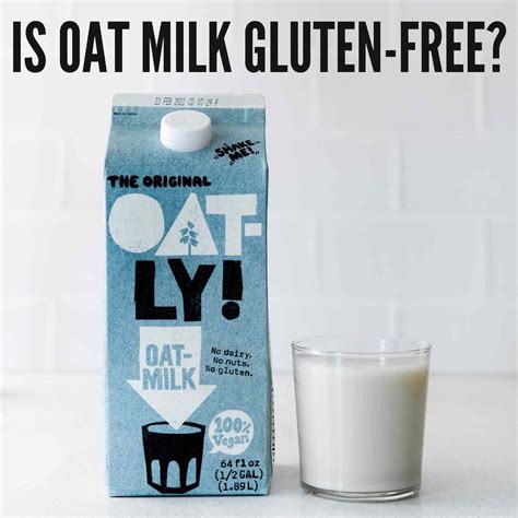 Oat milk gluten free. Things To Know About Oat milk gluten free. 