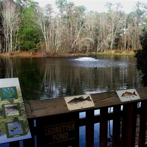 Oatland island. 0:45. The visitor center at Oatland Island Wildlife Center has been renamed to honor longtime educator and wildlife center founder Tony Cope, who died in October. 