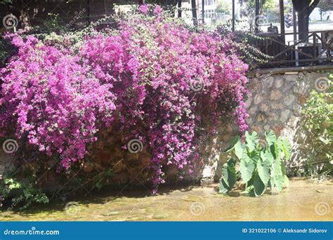 Obacay Halı ve Koltuk Yıkama