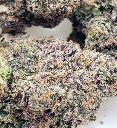 Grape Runtz is an evenly balanced hybrid strain (50% indica/50% sativa) created through crossing the delicious Zkittlez X Gelato X Grape Ape X OG Kush strains. This amazing three-way cross is the perfect choice for any classic hybrid lover, with a high level of potency and totally powerful full-bodied effects. The high starts with a happy lift ...
