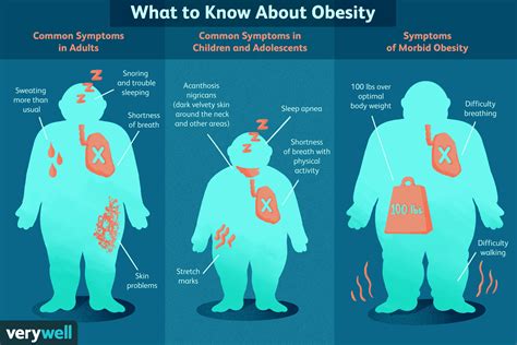 Obesity and Small Penis - How They Relate Each Other