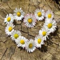 Obituaries canmore.  Please join us in Loving, Sharing and Memorializing Daniel Ralph Wester o...