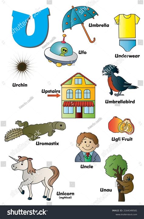Objects That Begin With U