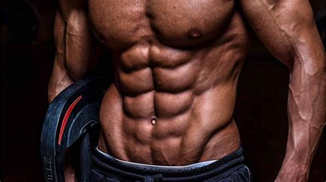 Obliques. - Haynes extreme modifying manual discovery 1.