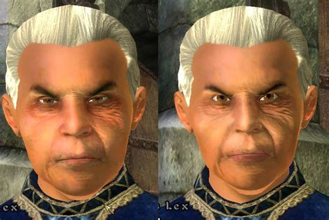 Oblivion faces mod. .