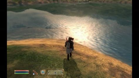 5 Best Elder Scrolls Oblivion Total Conversion Mods. Nehrim: At Fate's Edge is an impressive overhaul mod for Oblivion that still receives praise today, offering players a fresh and engaging .... 
