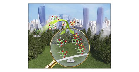 Observational Insights into Isoprene Secondary Organic Aerosol ...