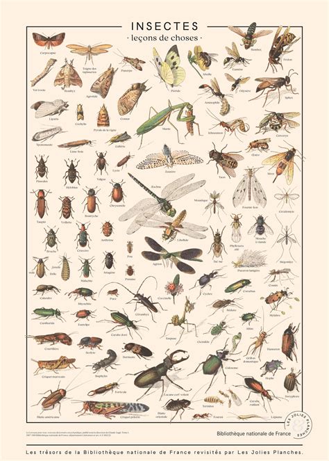 Observations sur les insectes des plantations en nouvelle calédonie. - 1986 suzuki outboard motor dt6 manual.