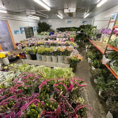 Oc wholesale flowers. Things To Know About Oc wholesale flowers. 