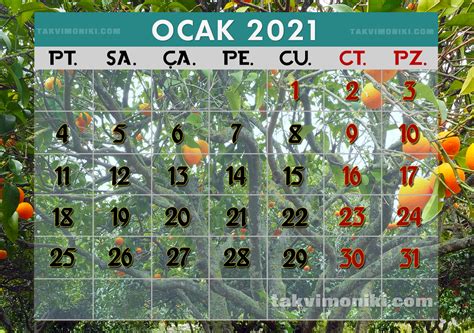 Ocak 2021.