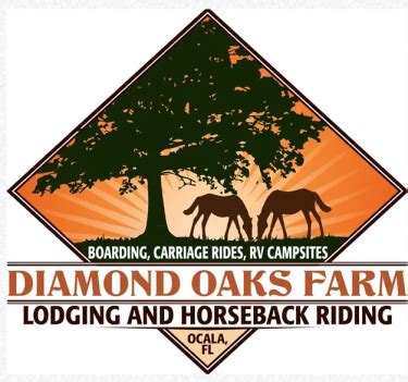 Ocala: Horseback Riding - Fun 4 Ocala Kids