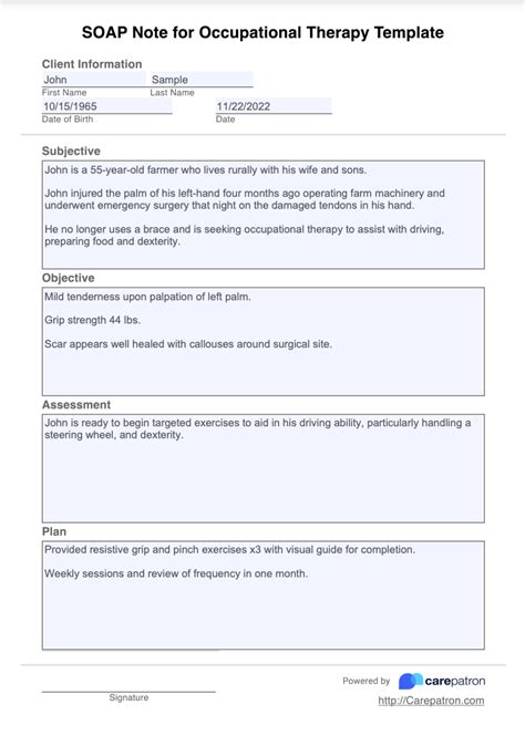 Occupational Therapy Daily Note Example