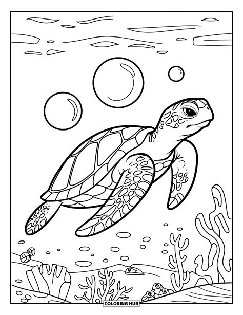 Ocean Animal Coloring Sheets