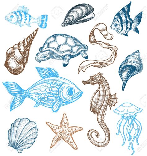 Ocean Animals Drawing