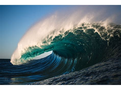 Ocean Beauty 💎 🎥 Thurston Photo By Ocean Magazine