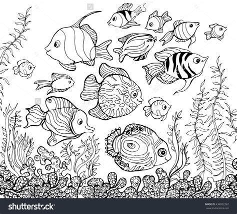 Ocean Fish Coloring Pages