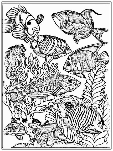 Ocean Fish Coloring Pages Realistic Coloring Pages