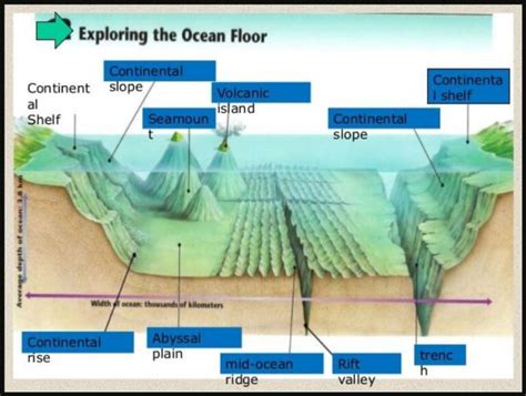 Ocean Floor Features - YouTube