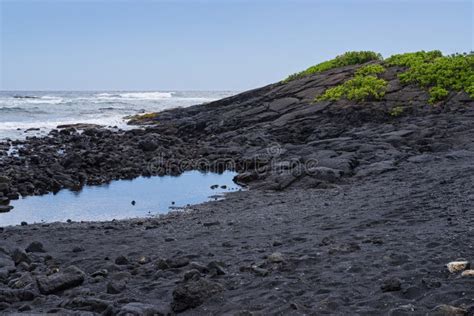 Ocean Pacifik Black Leaks XxX 🍑 23 Videos