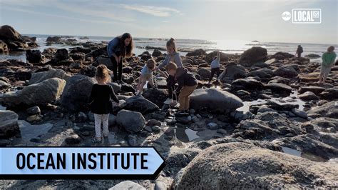 Ocean institute. We have one day dedicated to middle school students and one day for high school students. Join us for a fun-filled day of science and leave with an interest to explore the ocean further! Date: August 3 and 4, 2024. Time: 7:45am-3:30pm. Price: $70. 