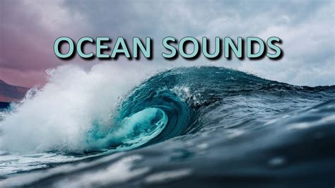 Ocean noises. Things To Know About Ocean noises. 