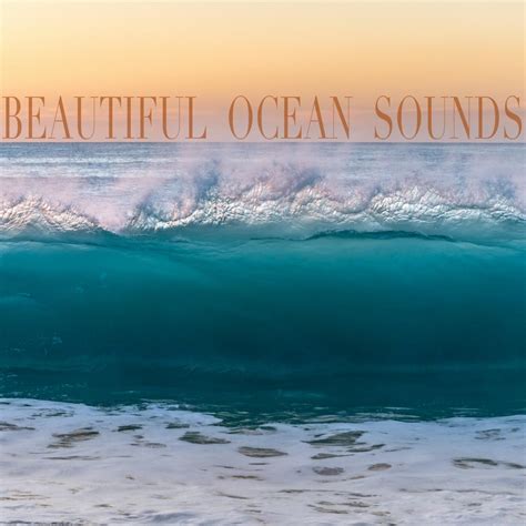 Ocean sound. Things To Know About Ocean sound. 