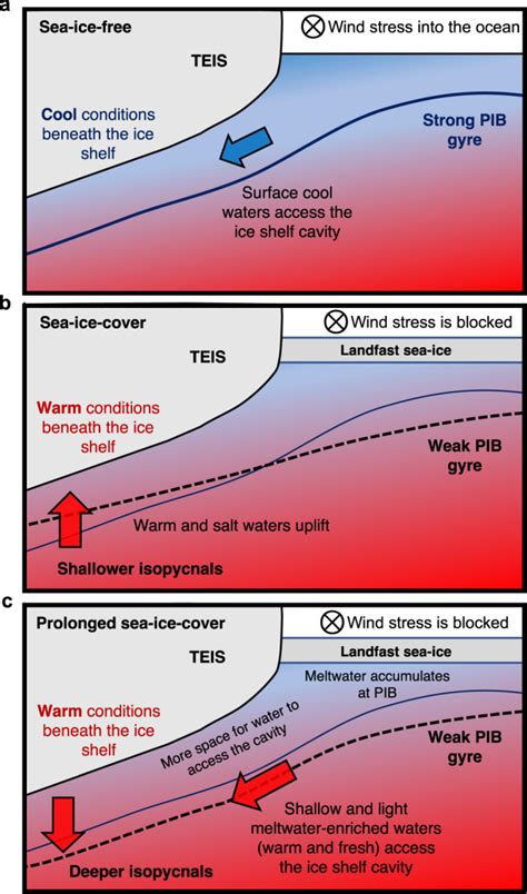 Ocean variability beneath Thwaites Eastern Ice Shelf driven by