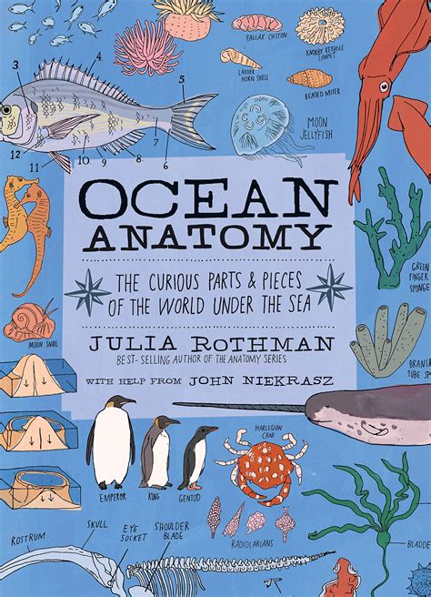 Read Online Ocean Anatomy The Curious Parts  And Pieces Of The World Under The Sea By Julia Rothman
