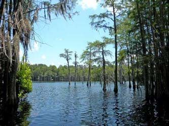 Ocheesee Pond FWC - Florida Fish And Wildlife …