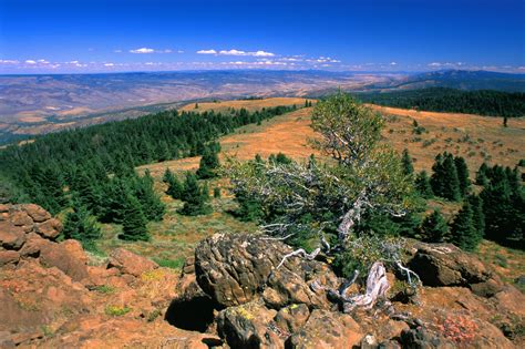 Ochoco national forest. The Ochoco (och-o-co) National Forest is located in central Oregon and consists of 847,818 acres. There are 24 developed campgrounds of which seven meet the selection … 