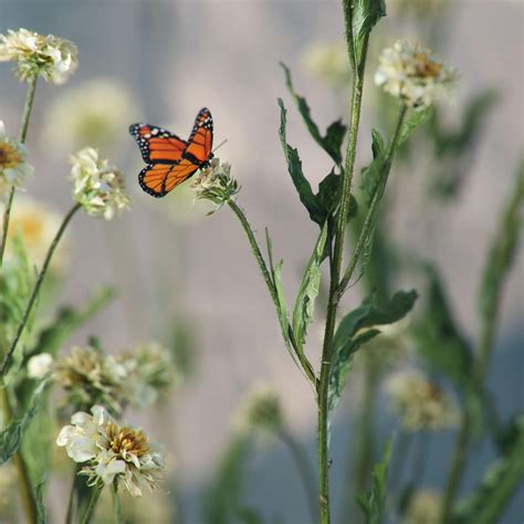 Octane compositing.  Hello, guys! In this video, I will share my experi...