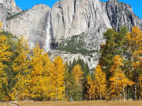 October in yosemite. By fall 1869, Muir had decided to stay full time in the valley, which he regarded as "nature's landscape garden, at once beautiful and sublime." He built and ran a sawmill for James Hutchings ... 