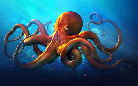 Octopus Illustration Wallpaper Download