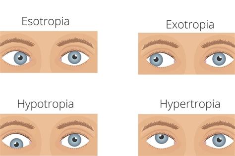 Ocular Alignment Study: Two Eyes Working Together - Space Center Houston