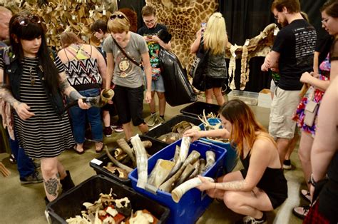 Oddities and curiosities expo. Things To Know About Oddities and curiosities expo. 