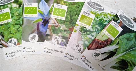 Odla sallad vintertid