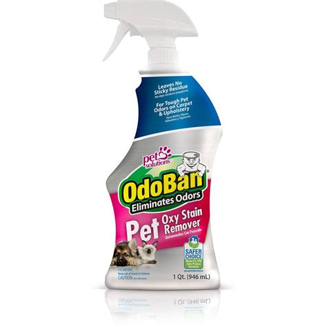 OdoBan Pet Solutions Oxy Stain Remover, Pet Stain Eliminator, 32 Ounce Spray. OdoBan. 4.9 out of 5 stars with 16 ratings. 16. $19.99 - $29.00. When purchased online. .