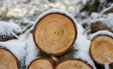 Odun Halı ve Koltuk Yıkama