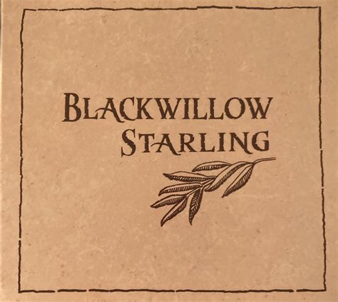 Of: Blackwillow Onlyfans Leak XXX 🔥 63 Videos