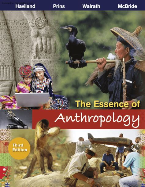 Of Anthropology 3rd Edition Essence