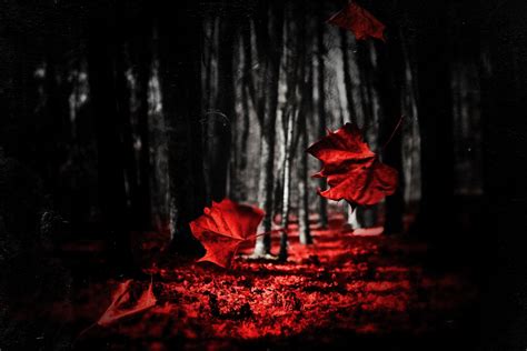 Of Beauty And Rage- Lyrics — RED