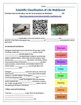Of Life Classification Webquest Answers