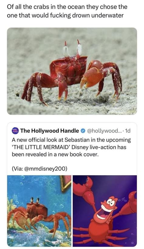 Of all the crabs in the ocean they chose the one that would