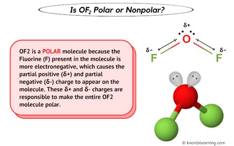 Of2 polar or nonpolar. Things To Know About Of2 polar or nonpolar. 